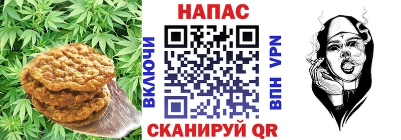 цена наркотик  Шагонар  Cannafood марихуана 