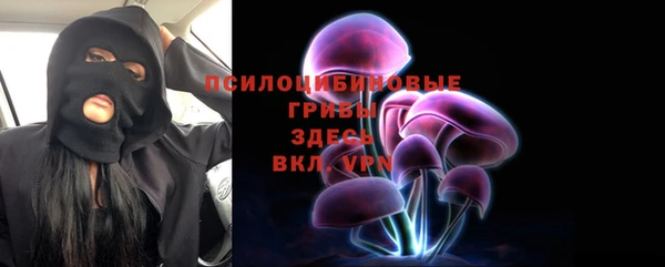 соль курить ск Богородск