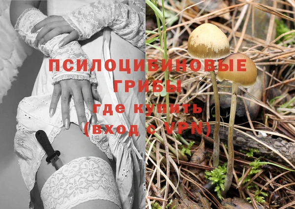 стафф Сосновка