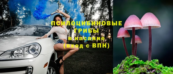 соль курить ск Богородск