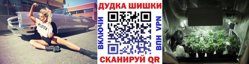 Канабис White Widow  площадка наркотические препараты  Шагонар 